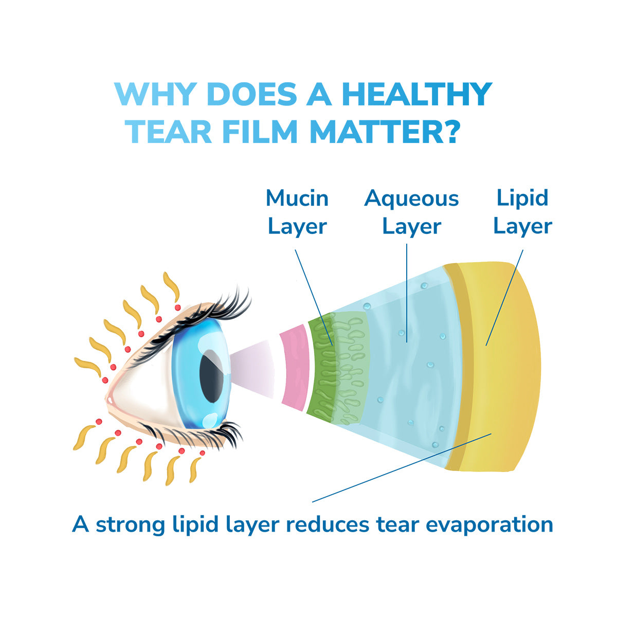 An eye diagram shows arrows to tear film layers: mucin, aqueous, and lipid. Above it asks, Why does a healthy tear film matter? Below, it states: A strong lipid layer reduces tear evaporation and provides dry eye relief. Try Optases Moist Heat Dry Eye Mask for enhanced comfort.