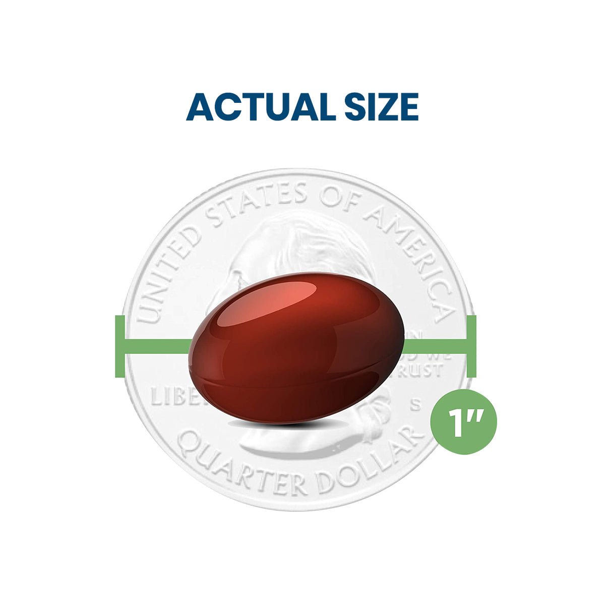A glossy, oval red pill from Bausch + Lombs Ocuvite Eye Vitamin & Mineral Supplement is shown beside a U.S. quarter for size comparison. A green one-inch ruler line indicates its actual size on a white background with ACTUAL SIZE text, highlighting benefits like Zinc and Omega 3 for eye health.