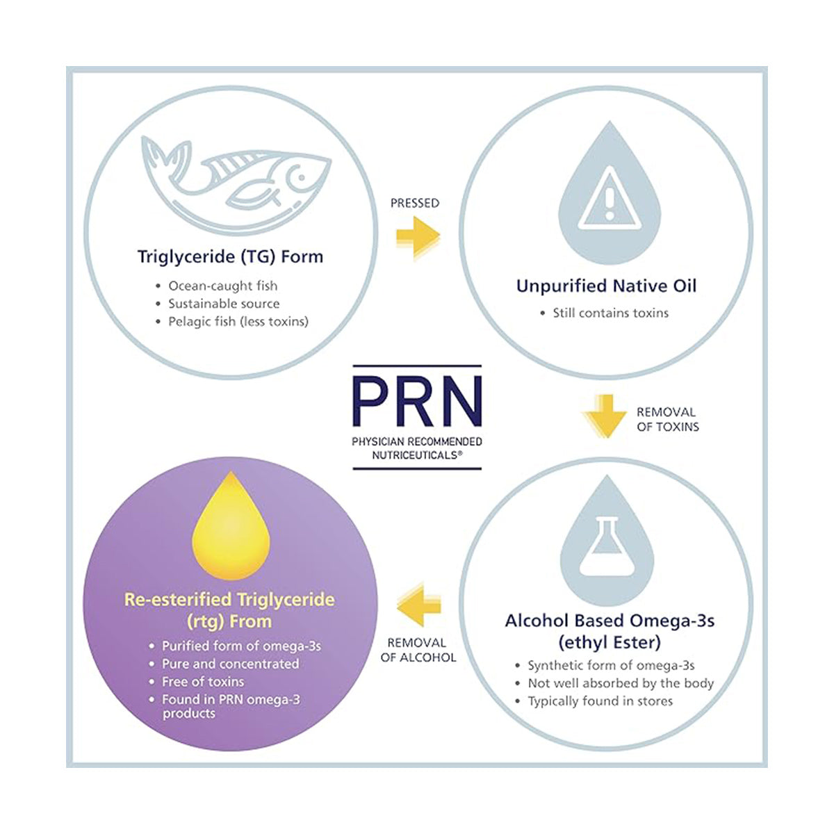 Infographic showing the conversion of fish to PRN numaqula Omega-3 for macula support, detailing the process from unpurified native oil to purified re-esterified triglyceride form by removing toxins and alcohol-based omega-3s.