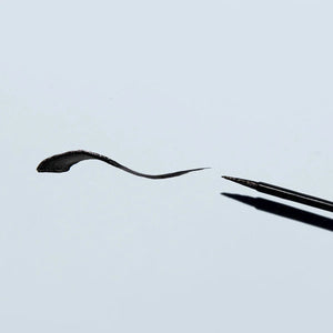 Twenty Twenty Double Duty Precision Eyeliner (Pitch Black) 2.7mL - Dryeye Rescue