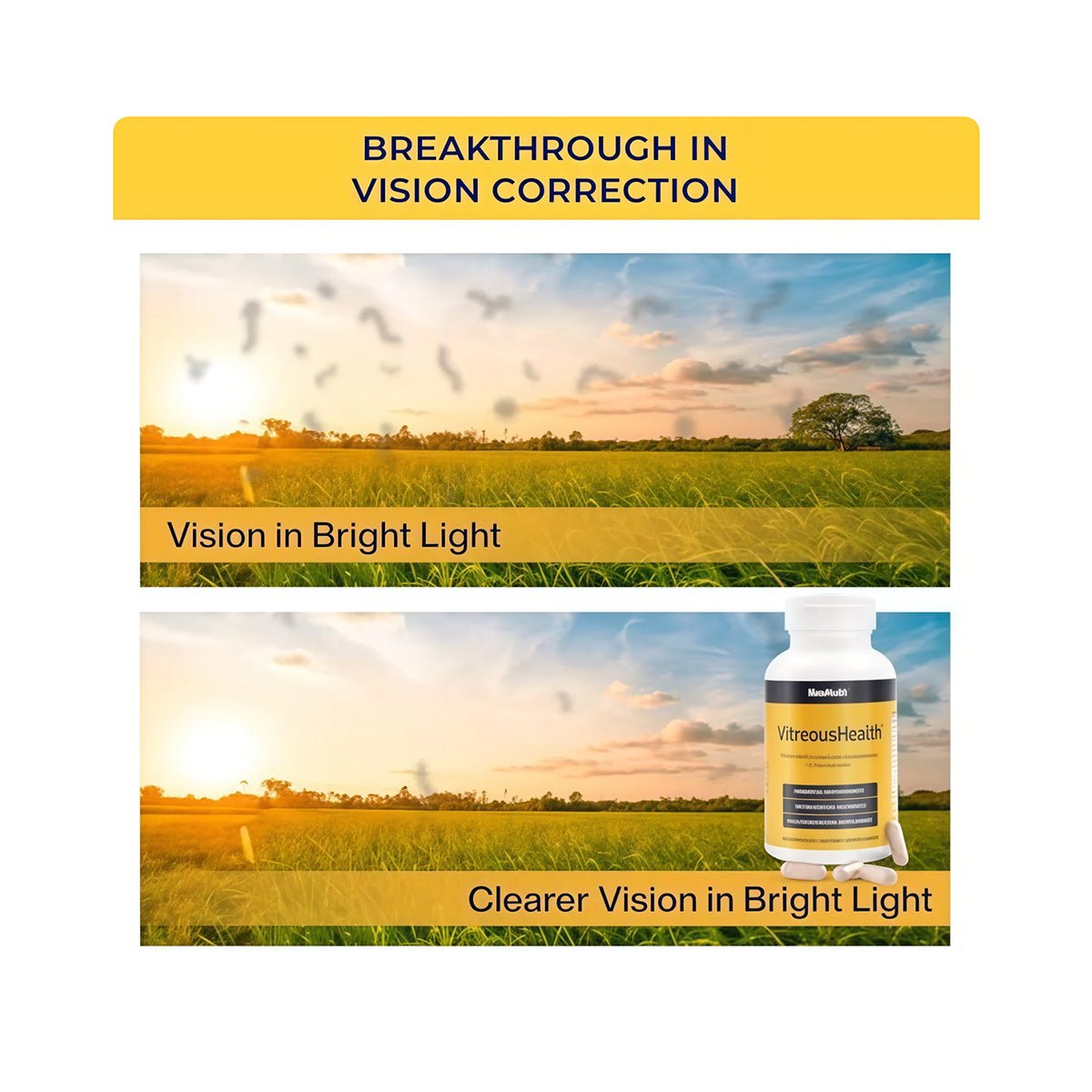 VitreousHealth by MacuHealth - Eye Floaters Formula (90ct - 90 day supply) - Dryeye Rescue