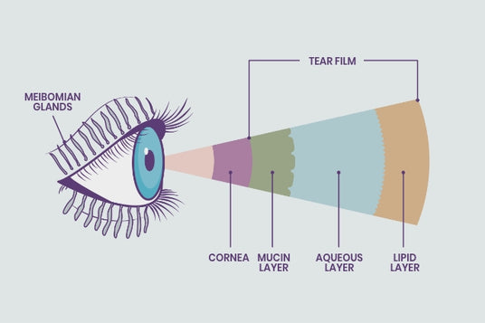 Illustration of an eye showing the anatomy of tear film layers. Labels point to the cornea, mucin layer, aqueous layer, and lipid layer. Meibomian glands are indicated above the eyelid.