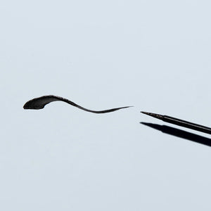 The Twenty Twenty Double Duty Precision Eyeliner (Pitch Black) 2.7mL, tested by ophthalmologists, features a thin, precise brush that effortlessly creates smooth, curved lines on light gray surfaces, tapering to a fine point for an exquisite look.
