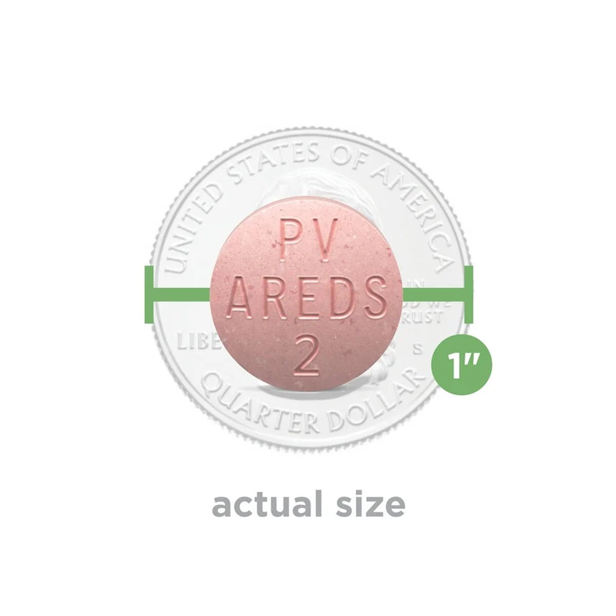 An image shows a pink round PreserVision AREDS 2 Chewable Eye Vitamin tablet from Bausch + Lomb next to a U.S. quarter for size reference, with a green 1-inch line labeled actual size. Its ideal for those interested in trusted eye vitamins for Age-related Macular Degeneration.